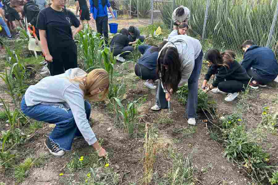 Estudiantes rescatan cultivos ancestrales