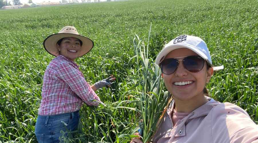 Estudiantes del proyecto durante las prácticas de campo de la investigación