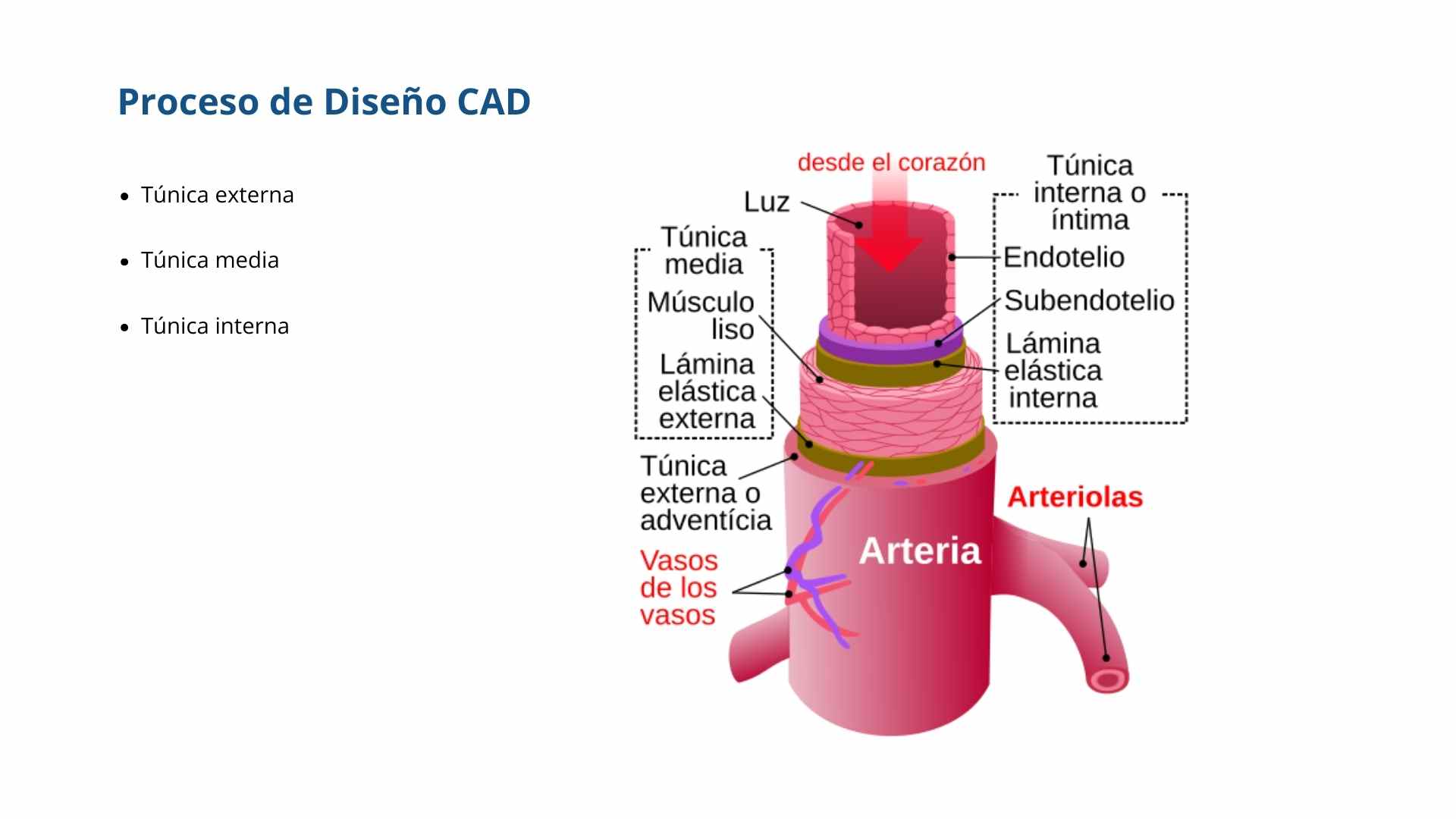 Modelo del Proceso de diseño del CAD para la bioimpresión 