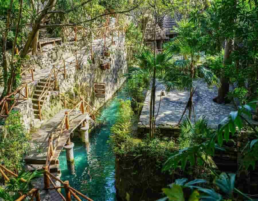 Cátedra Xurreal, creada por Xcaret