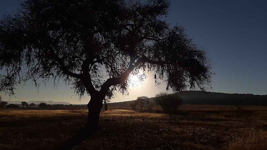 Fotografía tomada por estudiante de la PrepaTec Querétaro