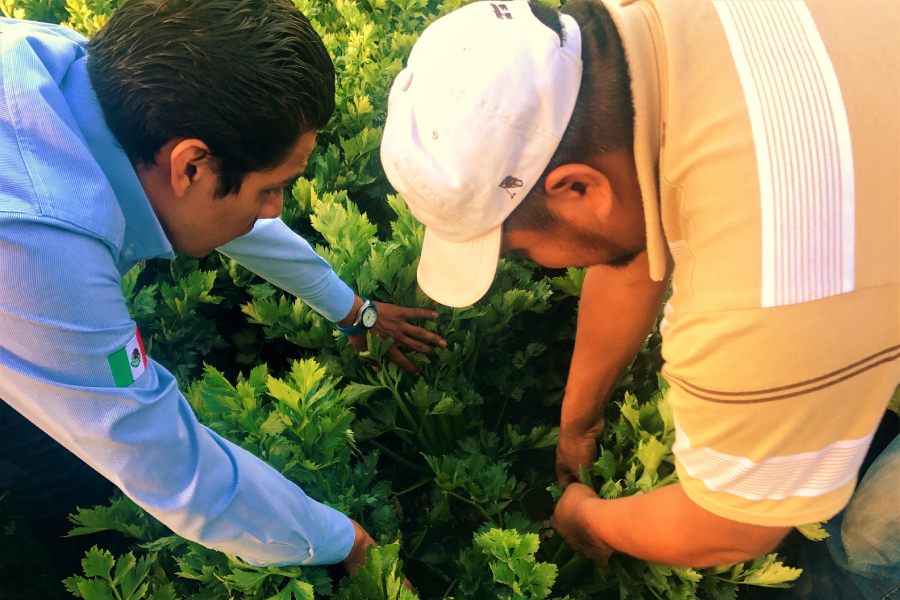 Desde un comienzo, el equipo se ha involucrado en conocer las actividades de campo para garantizar la frescura y calidad.