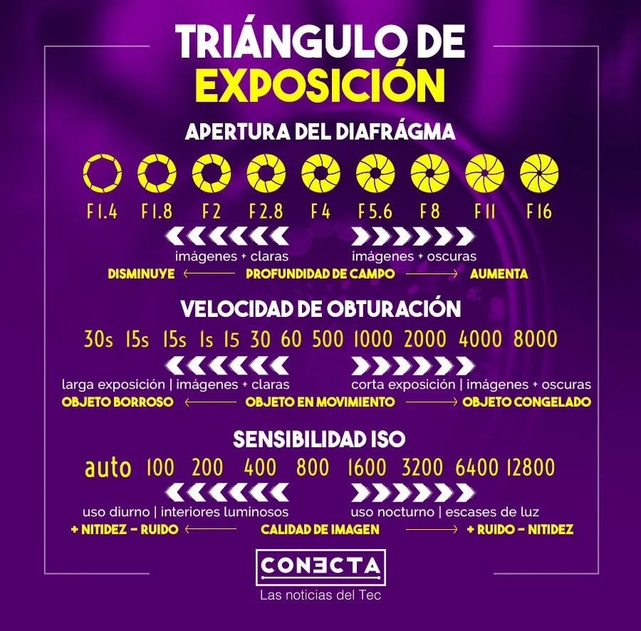 Triángulo de composición