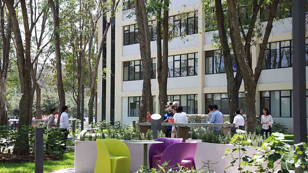 Jardín para estudio colaborativo en Tec Guadalajara.