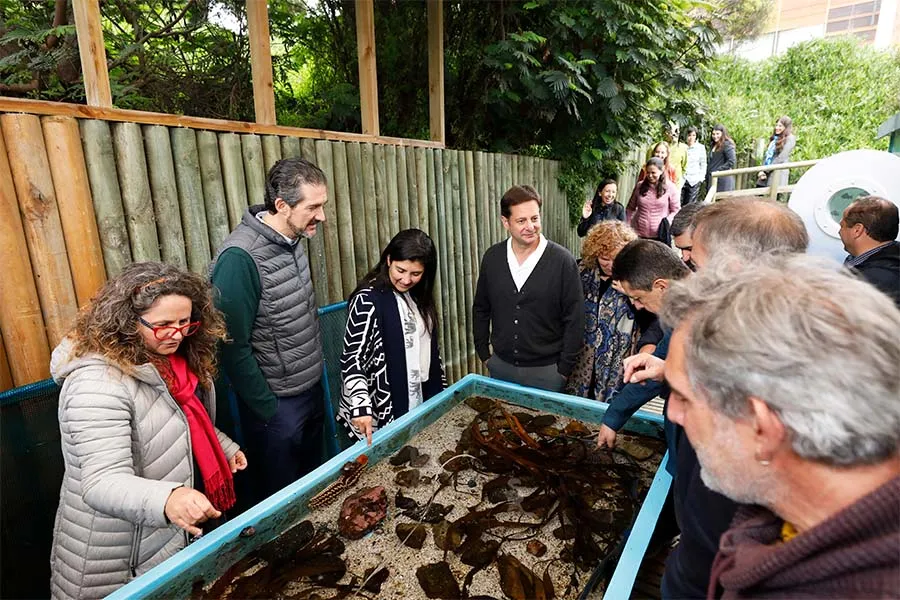 Esta quinta edición de la reunión se llevó a cabo en la Estación Costera de Investigaciones Marinas de la UC en Las Cruces y en la casa central y campus San Joaquín de la Universidad Católica.