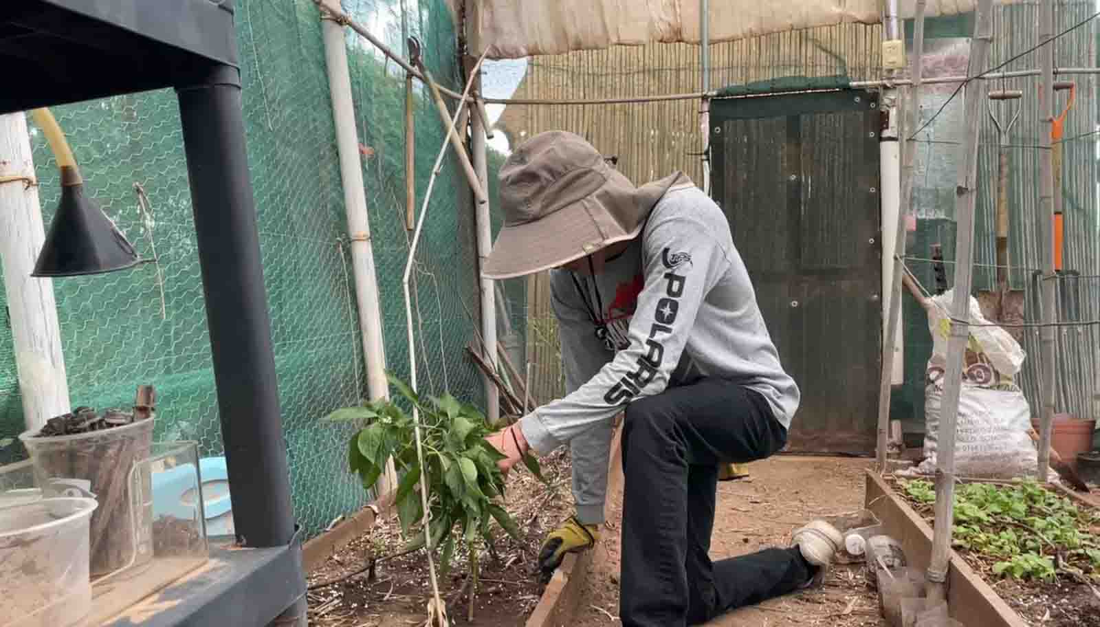 Joven trabajando en un huerto