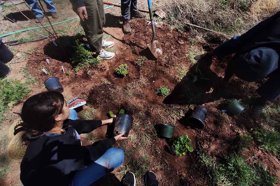 Ángeles Jiménez realizó diveros proyectos sustentables en UWC en Estados Unidos.