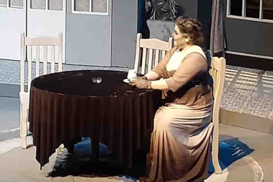 Participación de la maestra Lilian Viveros en obra de Teatro