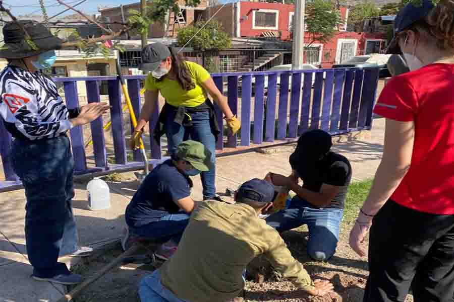 Estudiantes en la última visita en el mes de octubre plantando árboles 