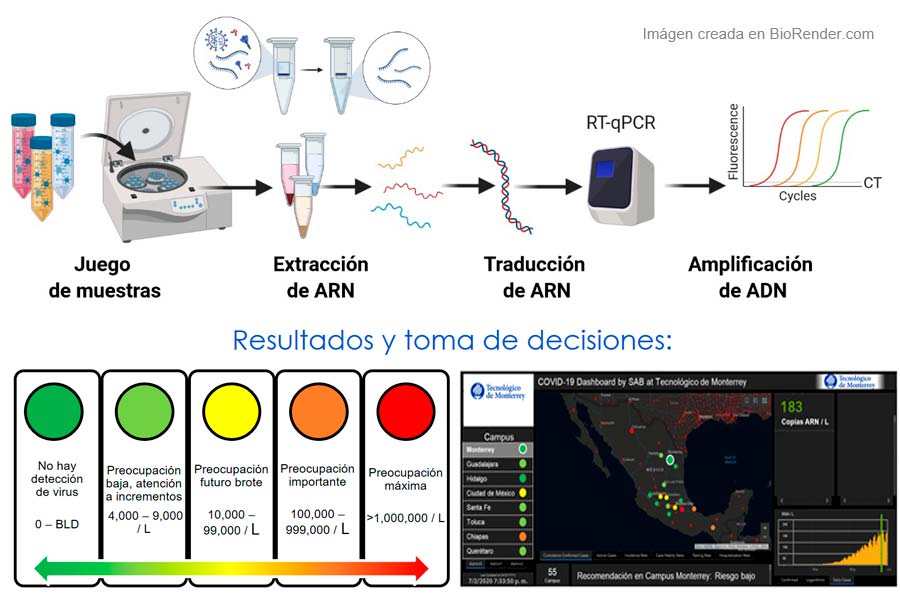 El proyecto MARTEC también cuenta con un sistema de semaforización con 5 niveles de alerta según el nivel del virus en el agua.