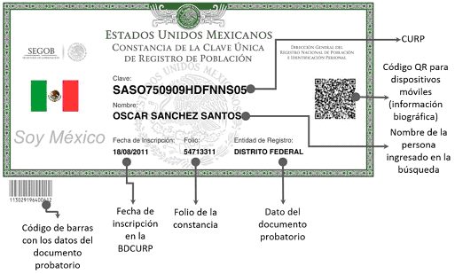 medidas de seguridad electronica CURP