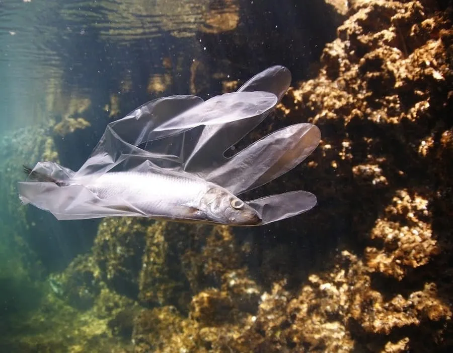 Pronto habrá más plástico que peces en el mar