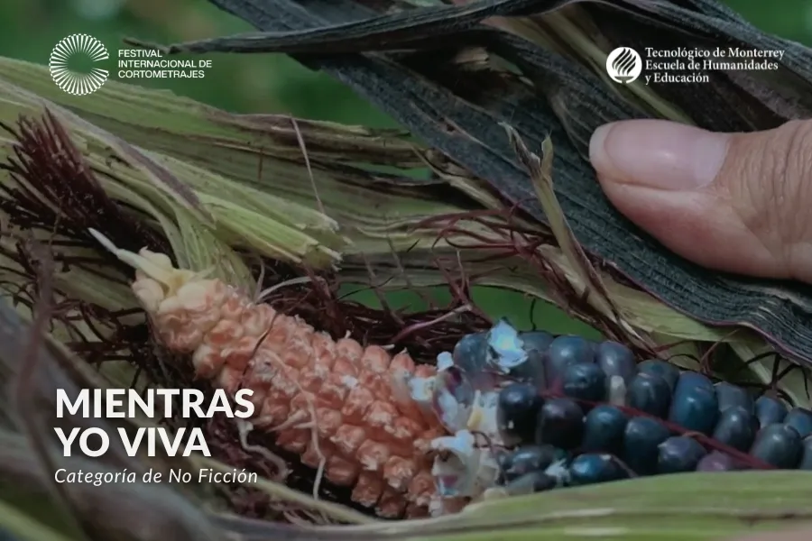 Escena de Mientras yo viva, documental sobre mujeres de Milpa Alta que conservan las tradiciones agr&iacute;colas de su comunidad.