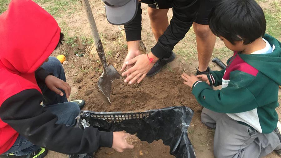 niños ayudando a crear huertos sostenibles para su familia