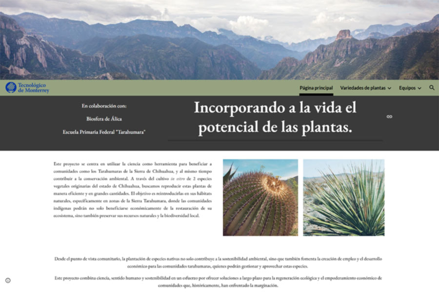 Página web del proyecto de cultivo in vitro, en colaboración con Biosfera de Álica y la Escuela Primaria "Tarahumara".