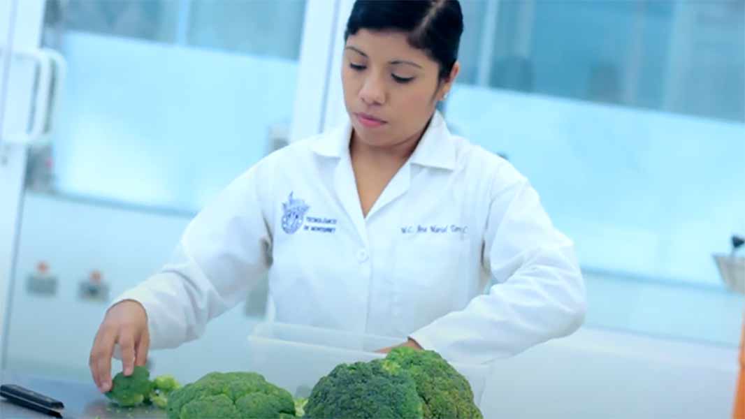 Profesor del Tec Guadalajara patenta proceso para despericio de alimentos.