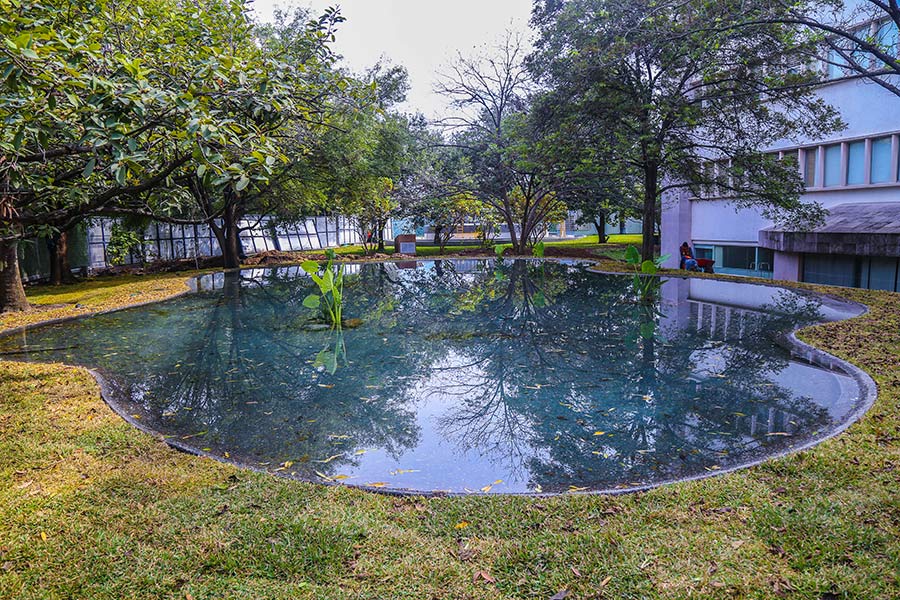 Lago de los patos tec de monterrey