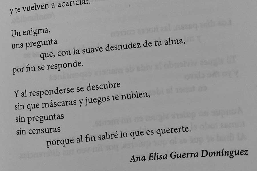 Poema de la alumna Ana Elisa Guerra