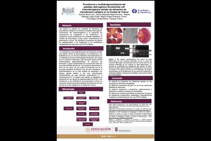 Poster ganador
