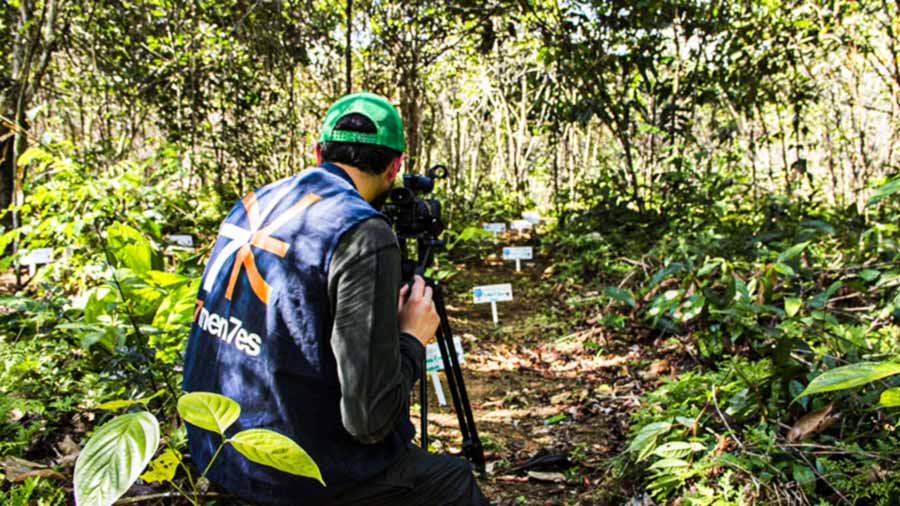 Proyecto Saving The Amazon