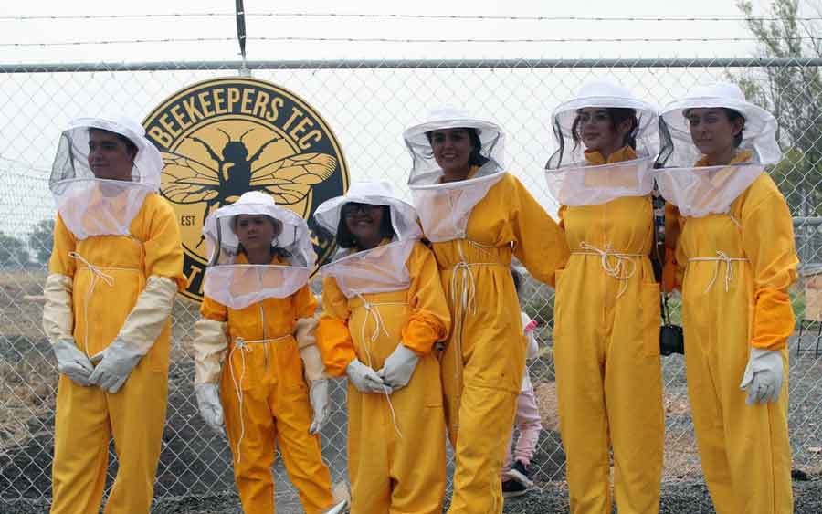 Tec campus Querétaro inaugura Beekeepers Tec, un apiario estudiantil donde se trabajan con abejas mieleras.