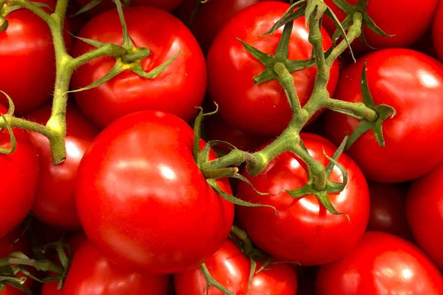 Tomates de Sinaloa.