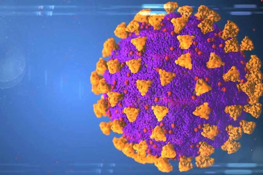 Virus SARS-CoV-2