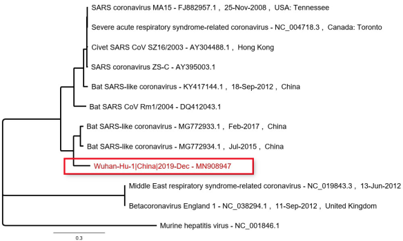 coronavirus