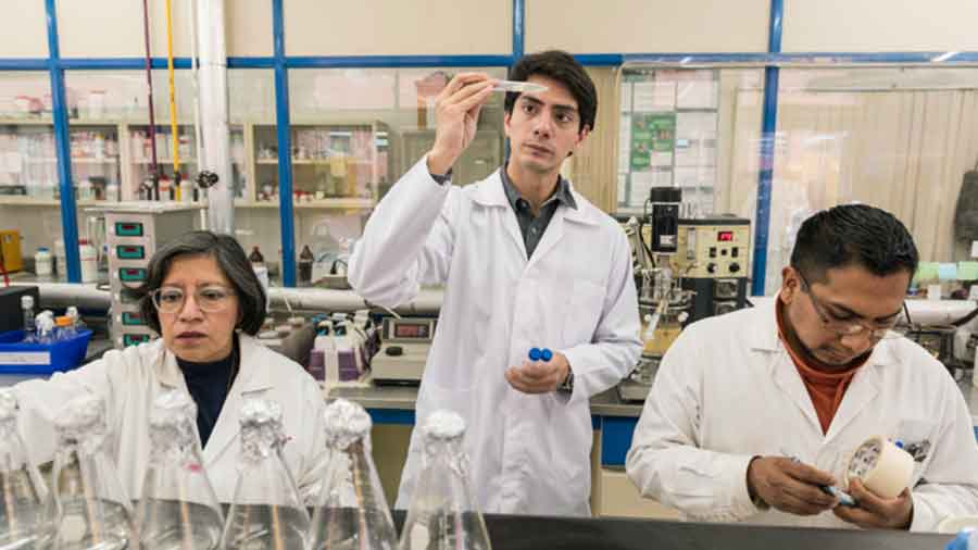 Javier trabajando en el desarrollo de XiliNat en un laboratorio