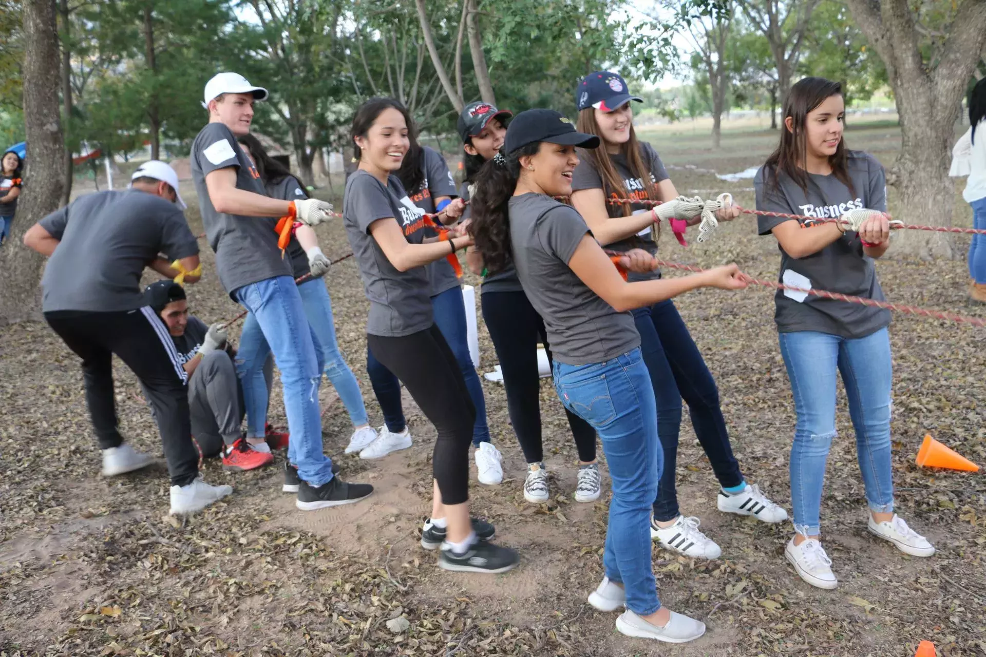 Trabajando en equipo