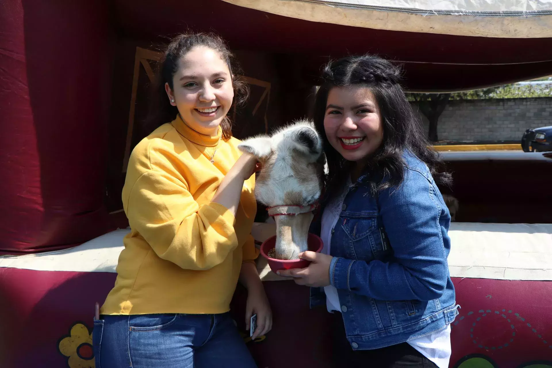 Amor y Amistad en Prepa Tec Guadalajara.