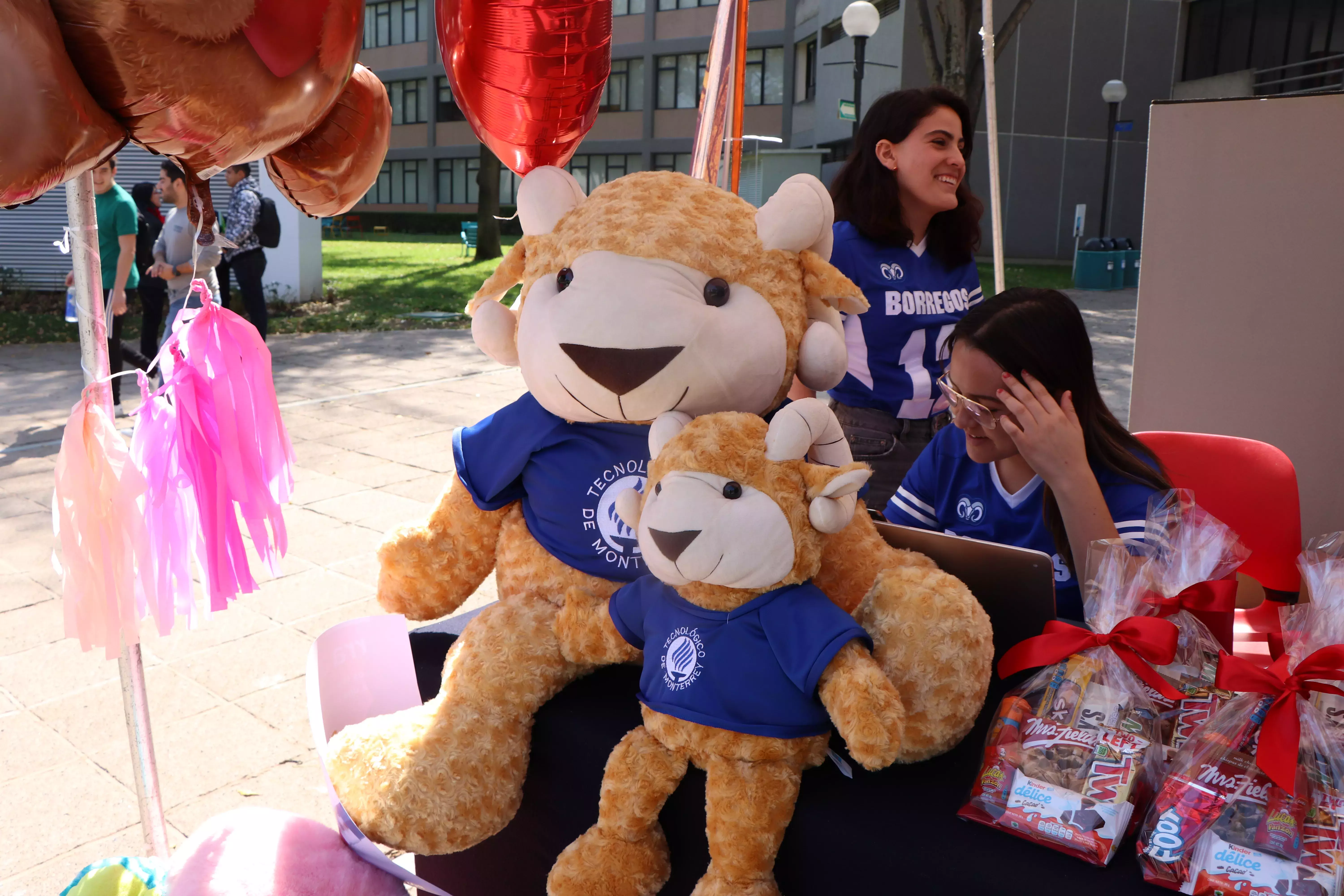 Feria de San Valentín Profesional.