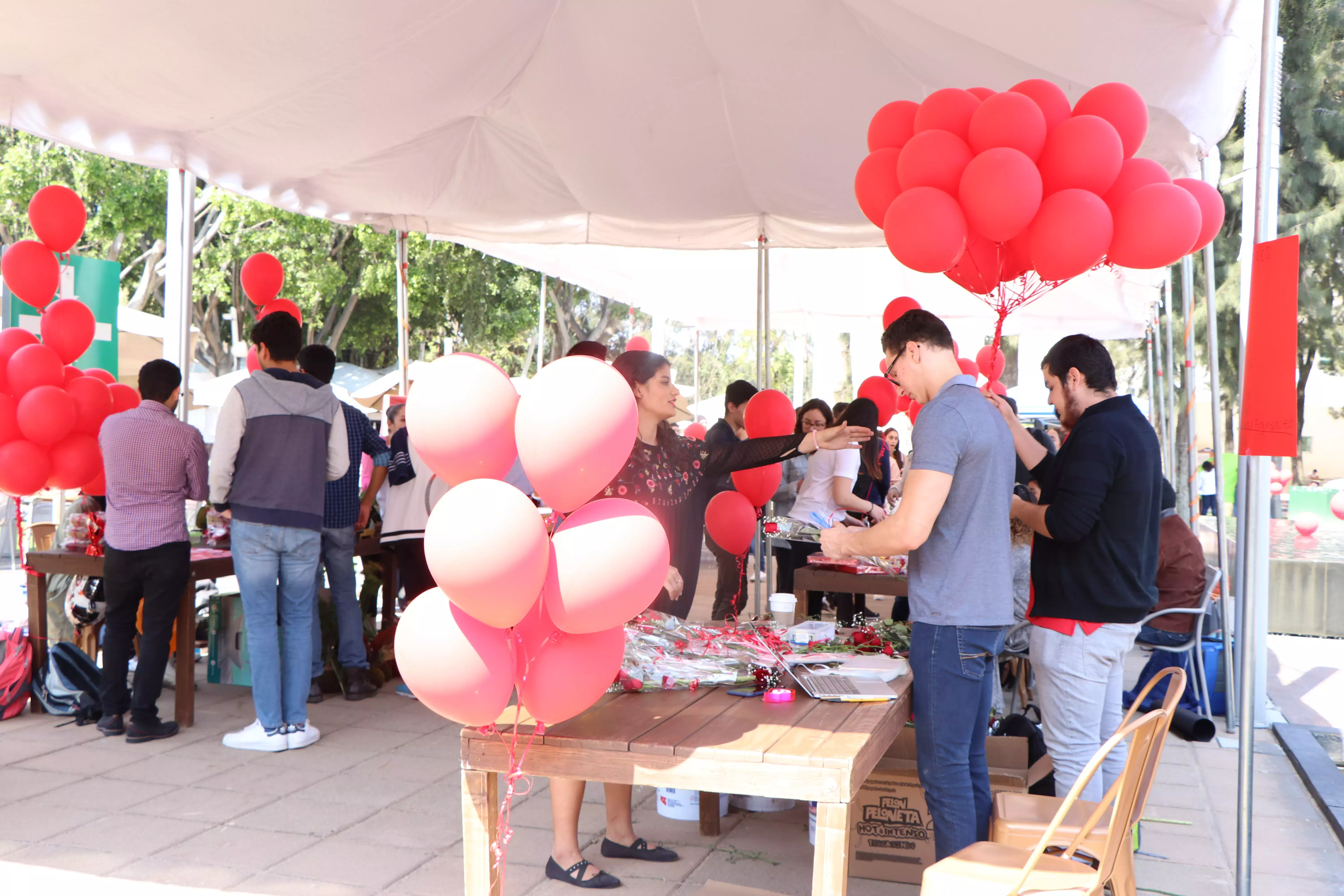 Feria de San Valentín Profesional.