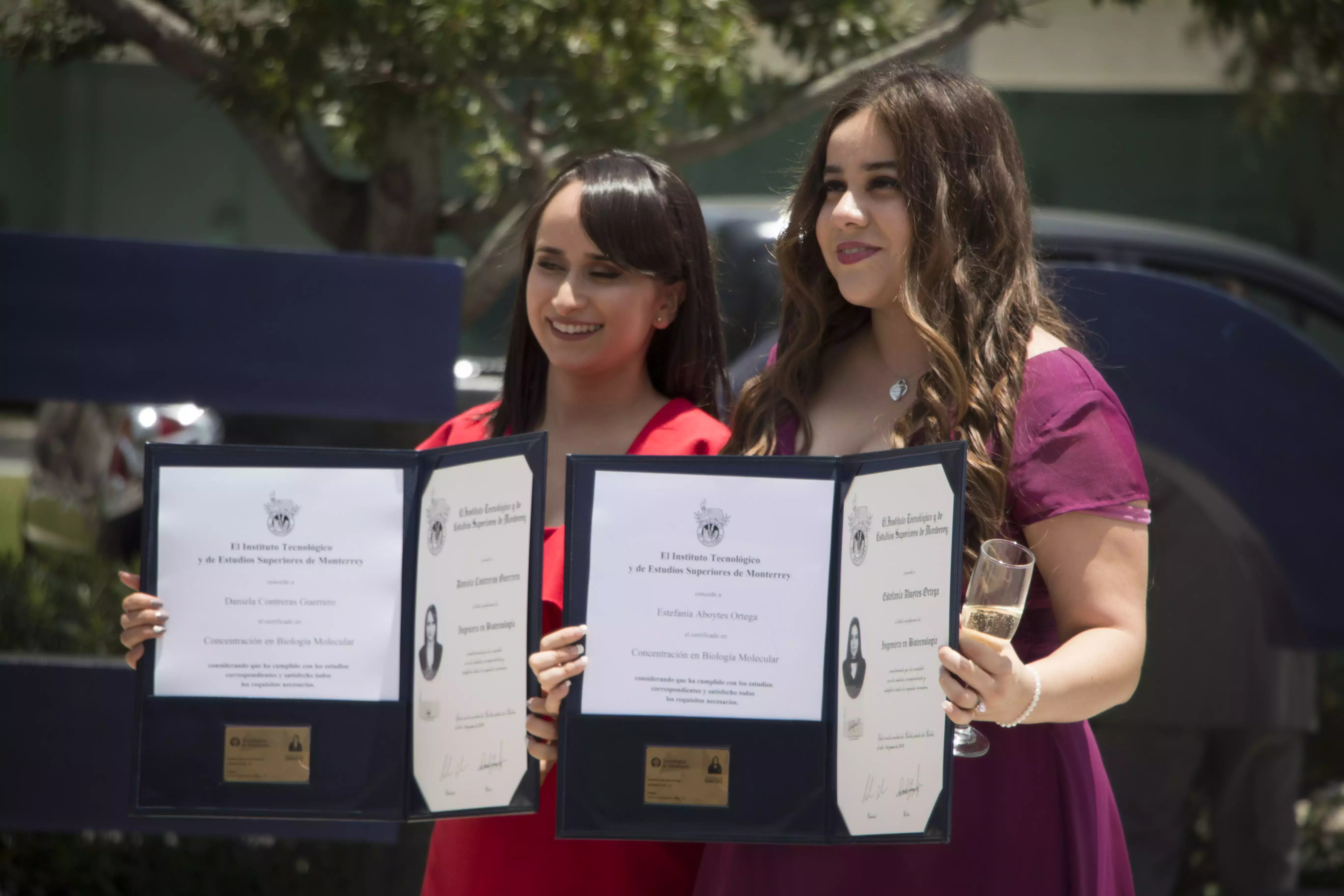 Graduación 2018 profesional