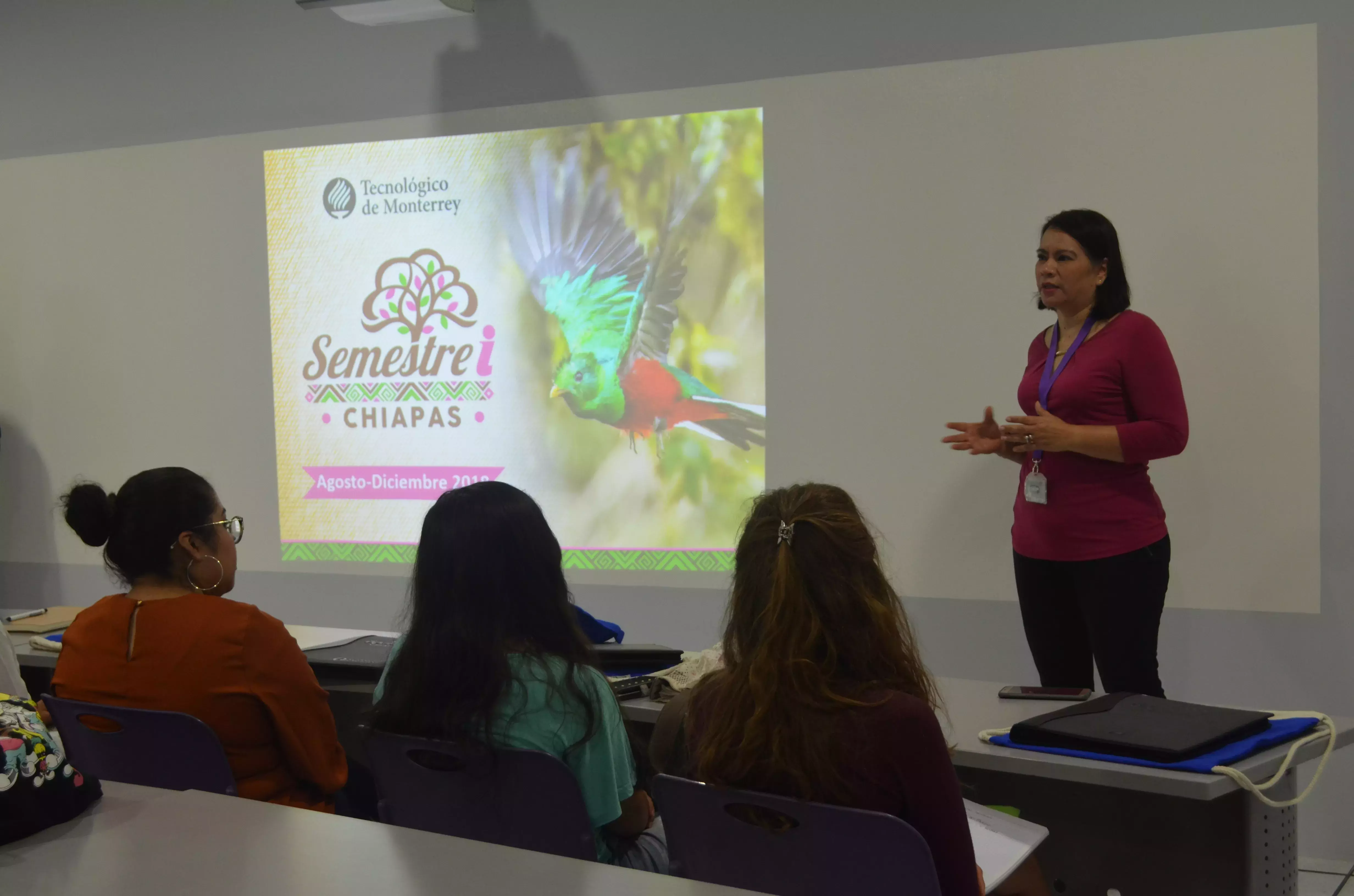 Alumnos del Semestrei 