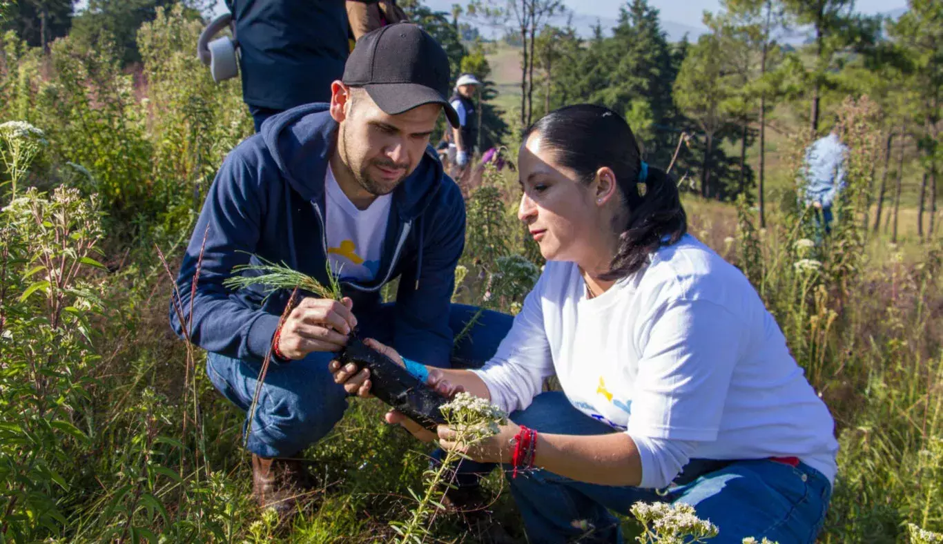 En Toluca, los egresados llevaron a cabo labores de reforestación.