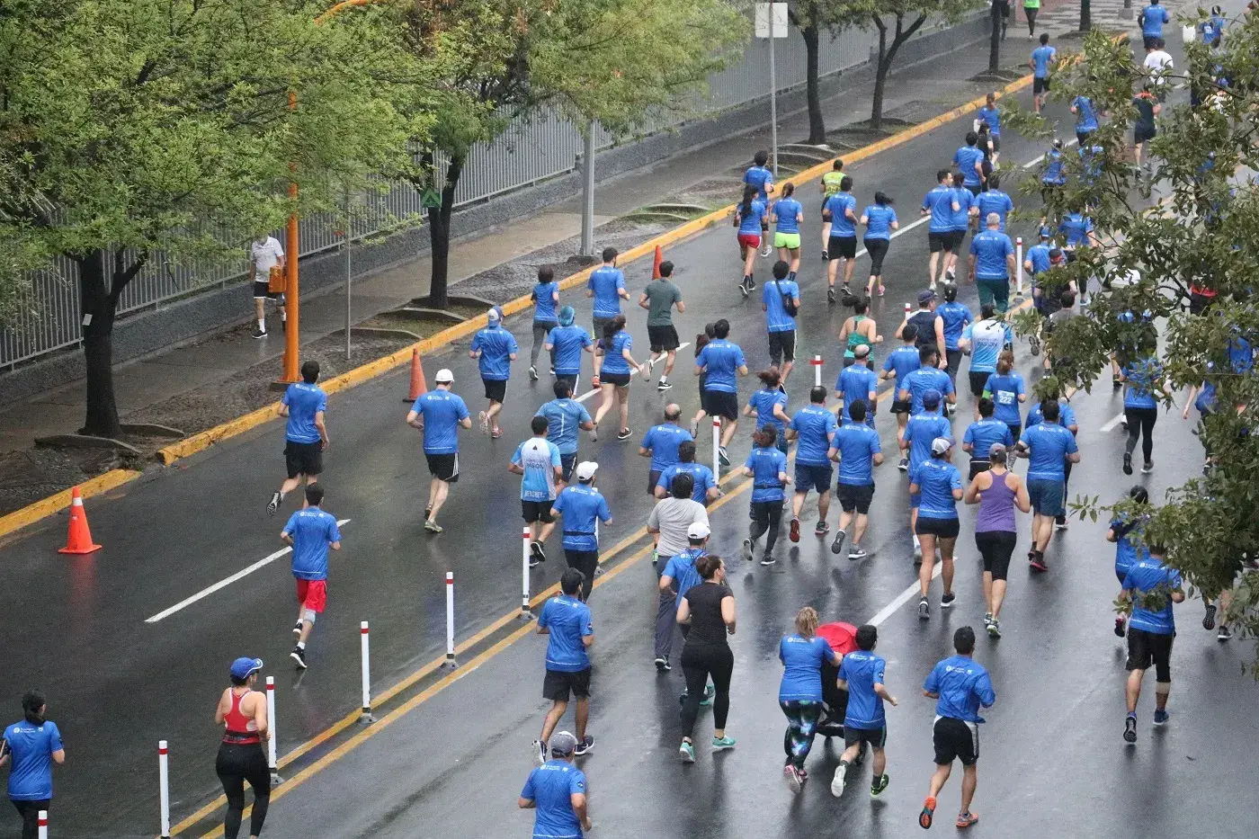 Borregos 5 y 10K