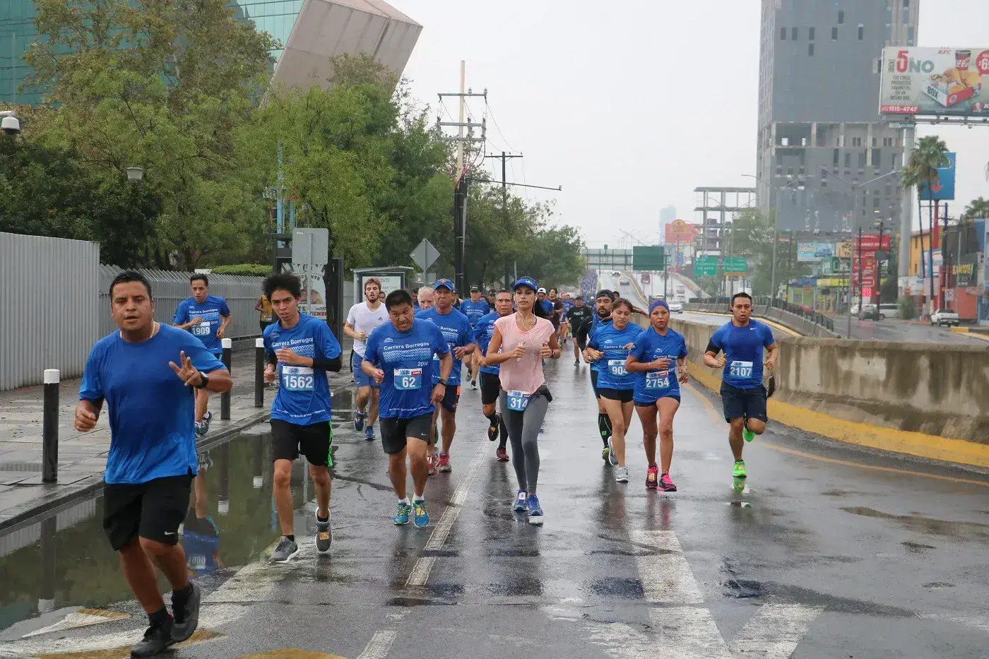 Borregos 5 y 10K