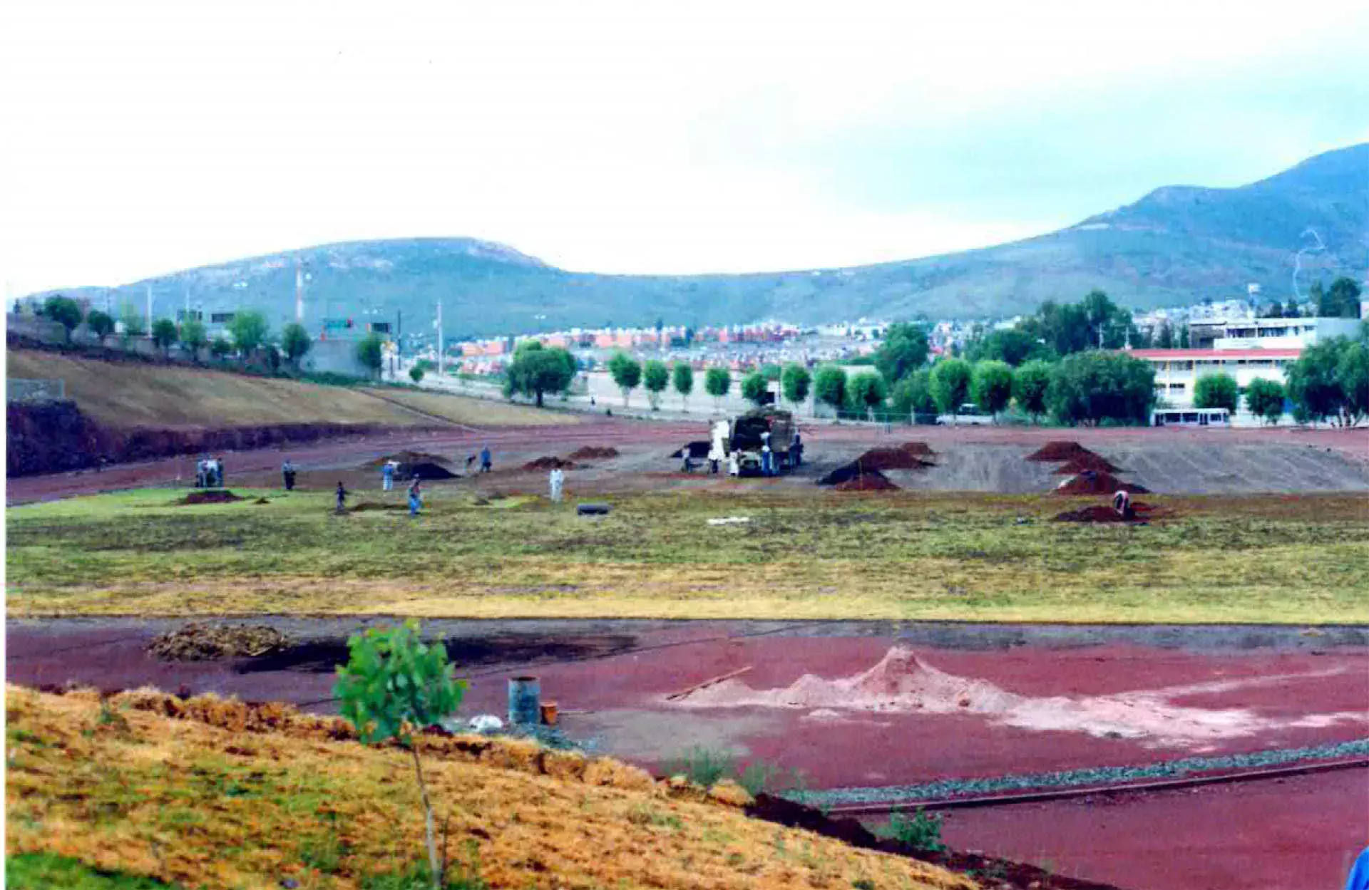 Cancha empastada .