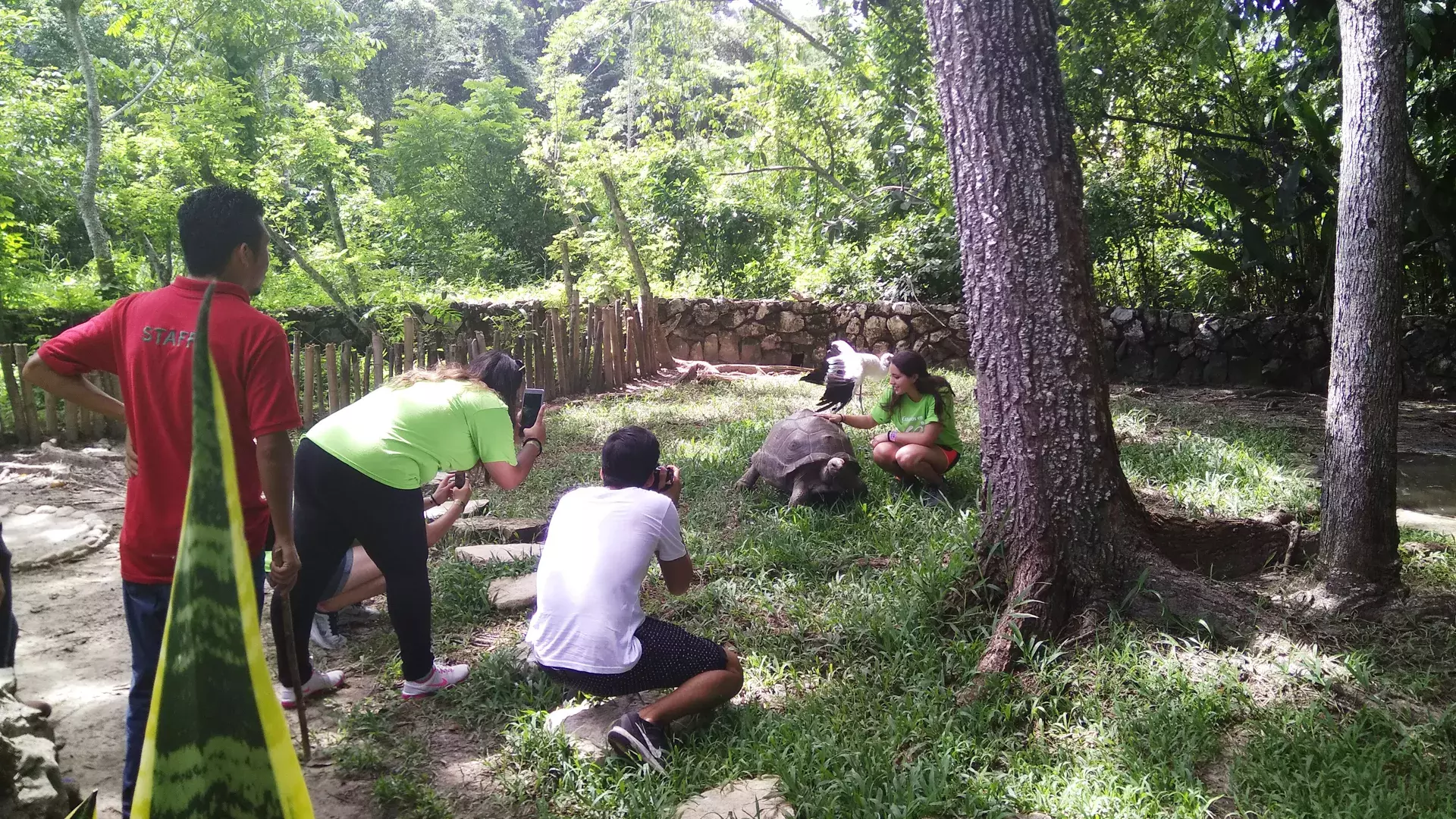 alumnos conviviendo con la tortuga