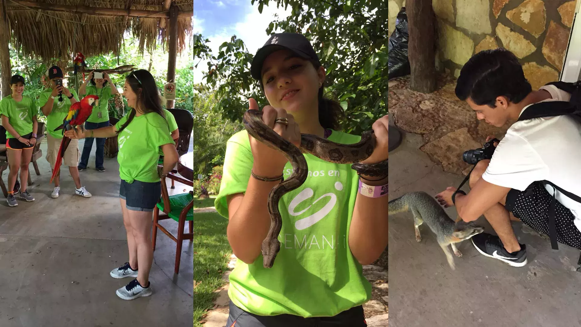 alumnos conviviendo con los animales de Aluxhes