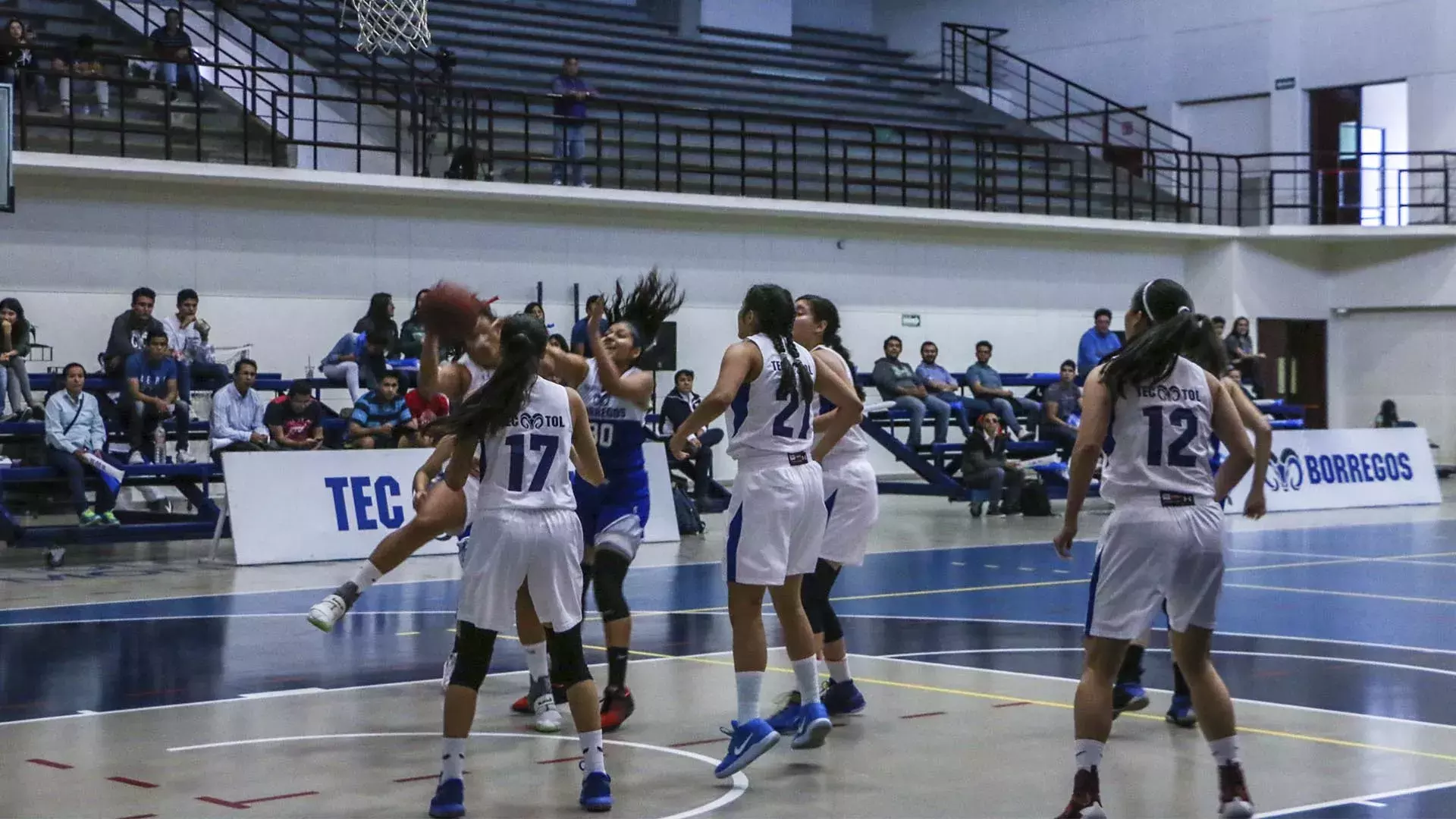 Los equipos representativos del Tec Campus Toluca obtuvieron resultados positivos en esta jornada deportiva