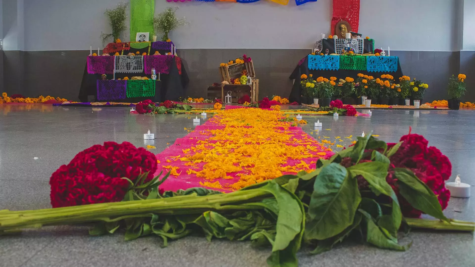 Muertec se lleva a cabo en la preparatoria del Tecnológico de Monterrey campus Toluca para celebrar el Día de Muertos