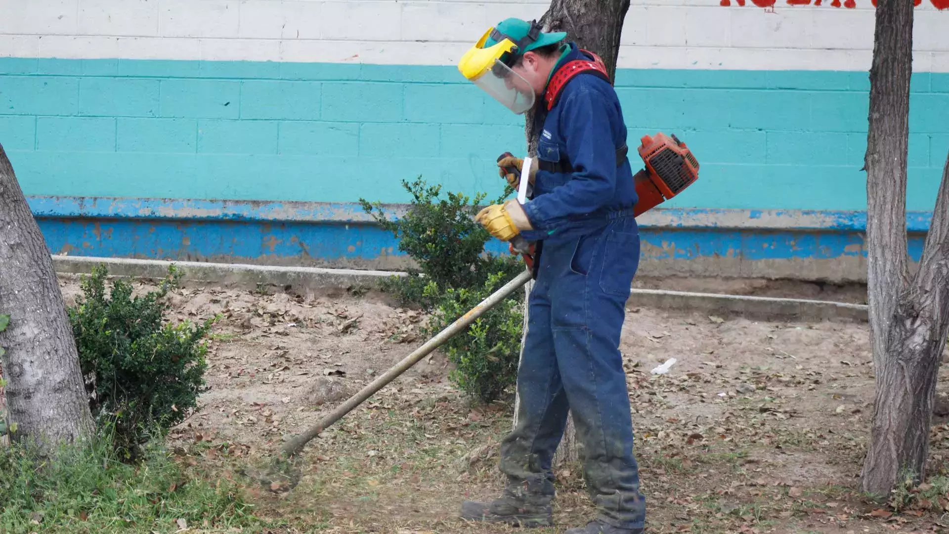 Día del Voluntariado en el Tec de Monterrey