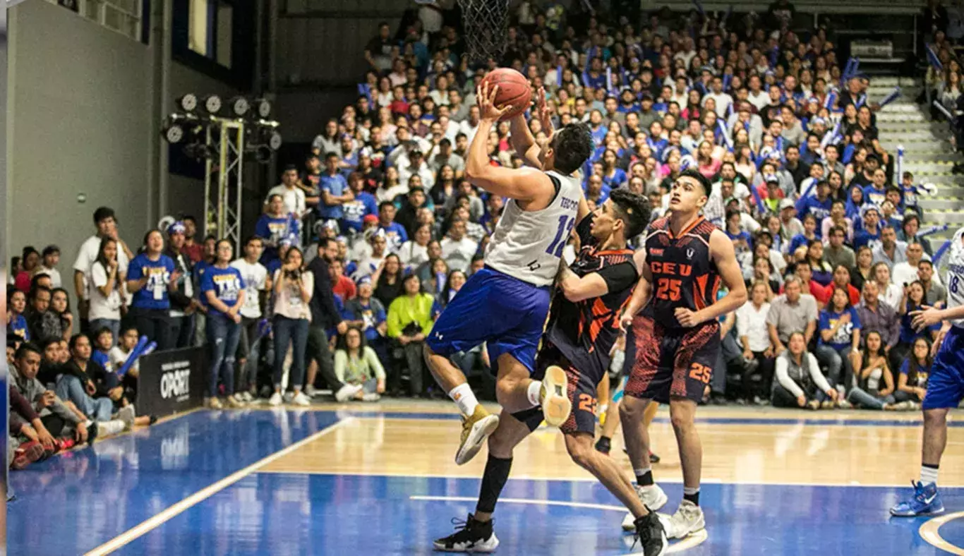 Fotos del tricampeonato de Borregos Hidalgo