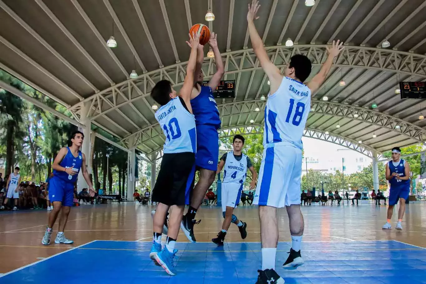 Borregos Zacatecas campeonas de basquetbol baloncesto