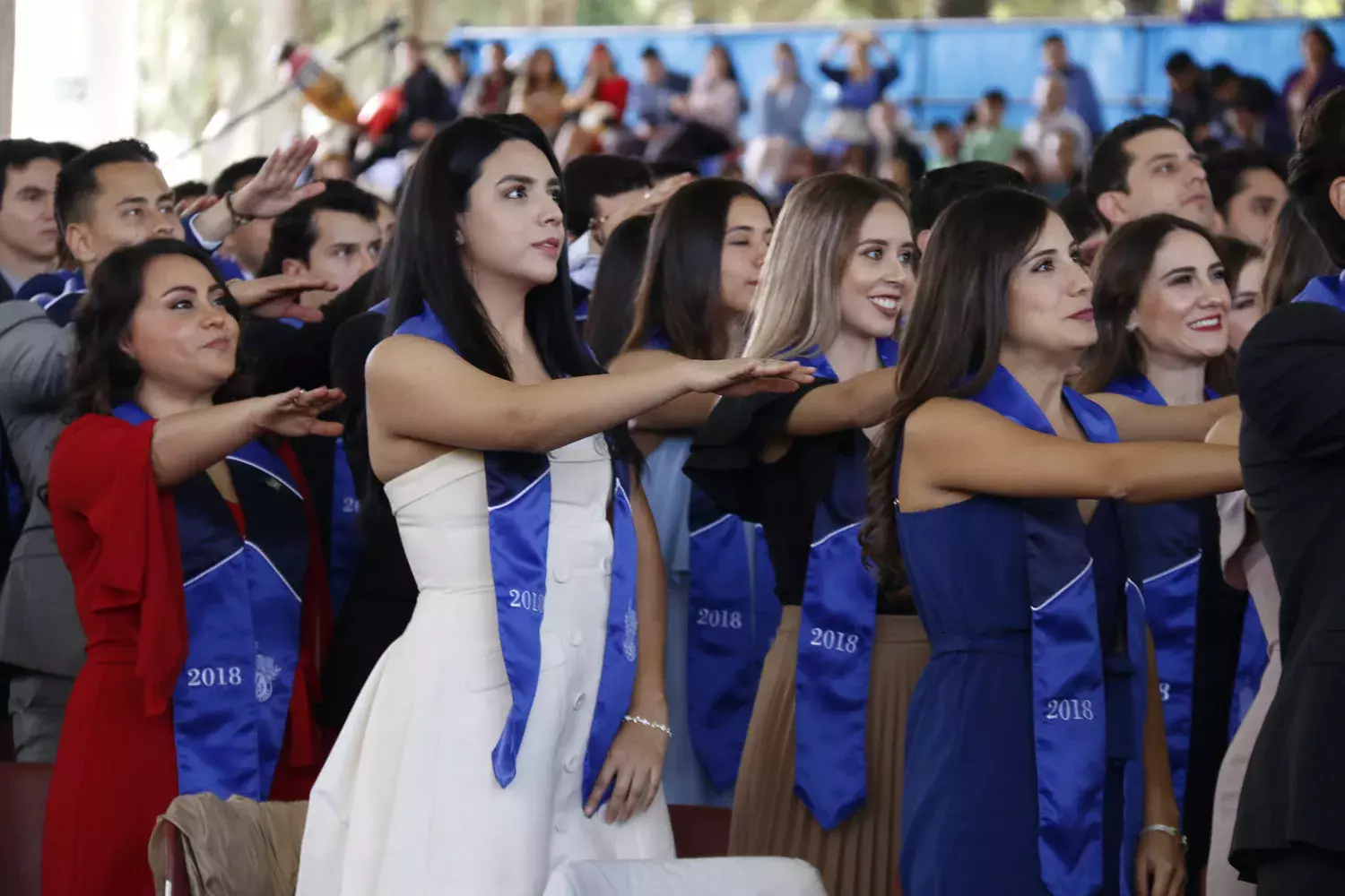 Graduación Profesional Diciembre 2019