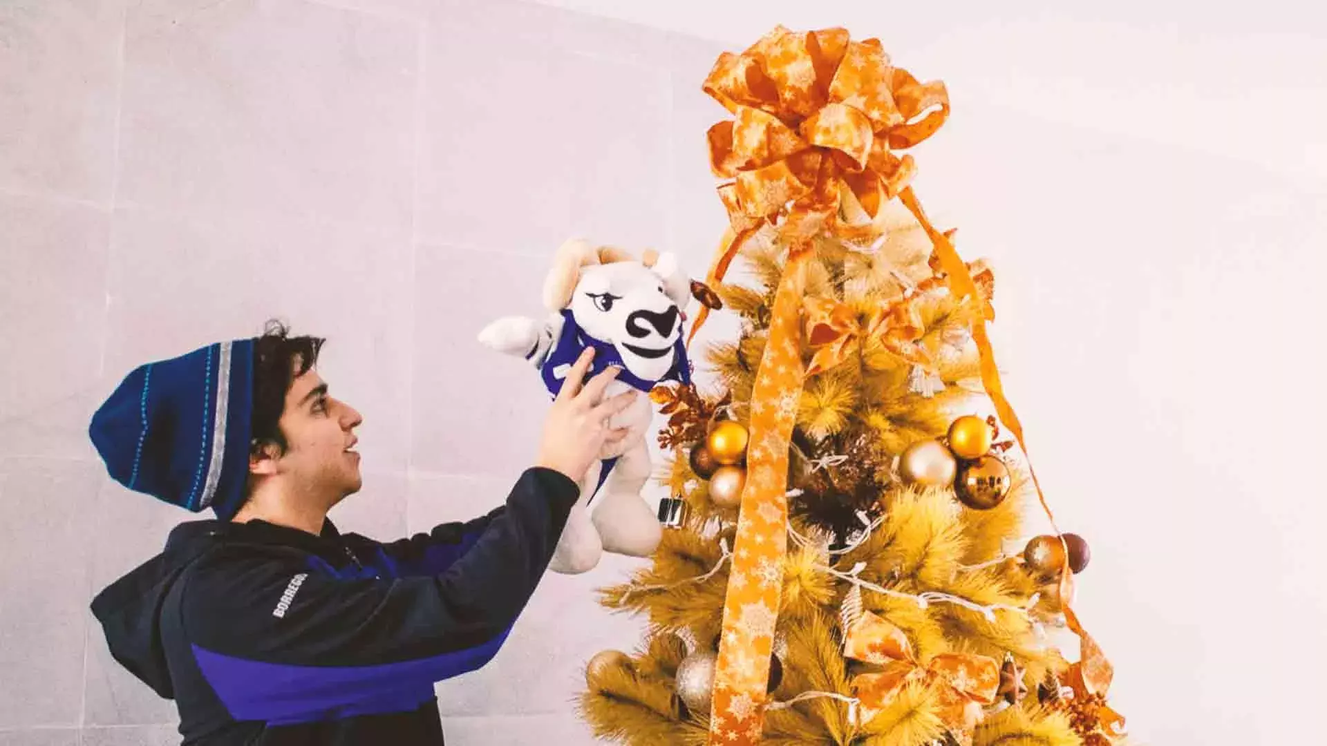 Alumno del Tec campus Toluca con su árbol de Navidad