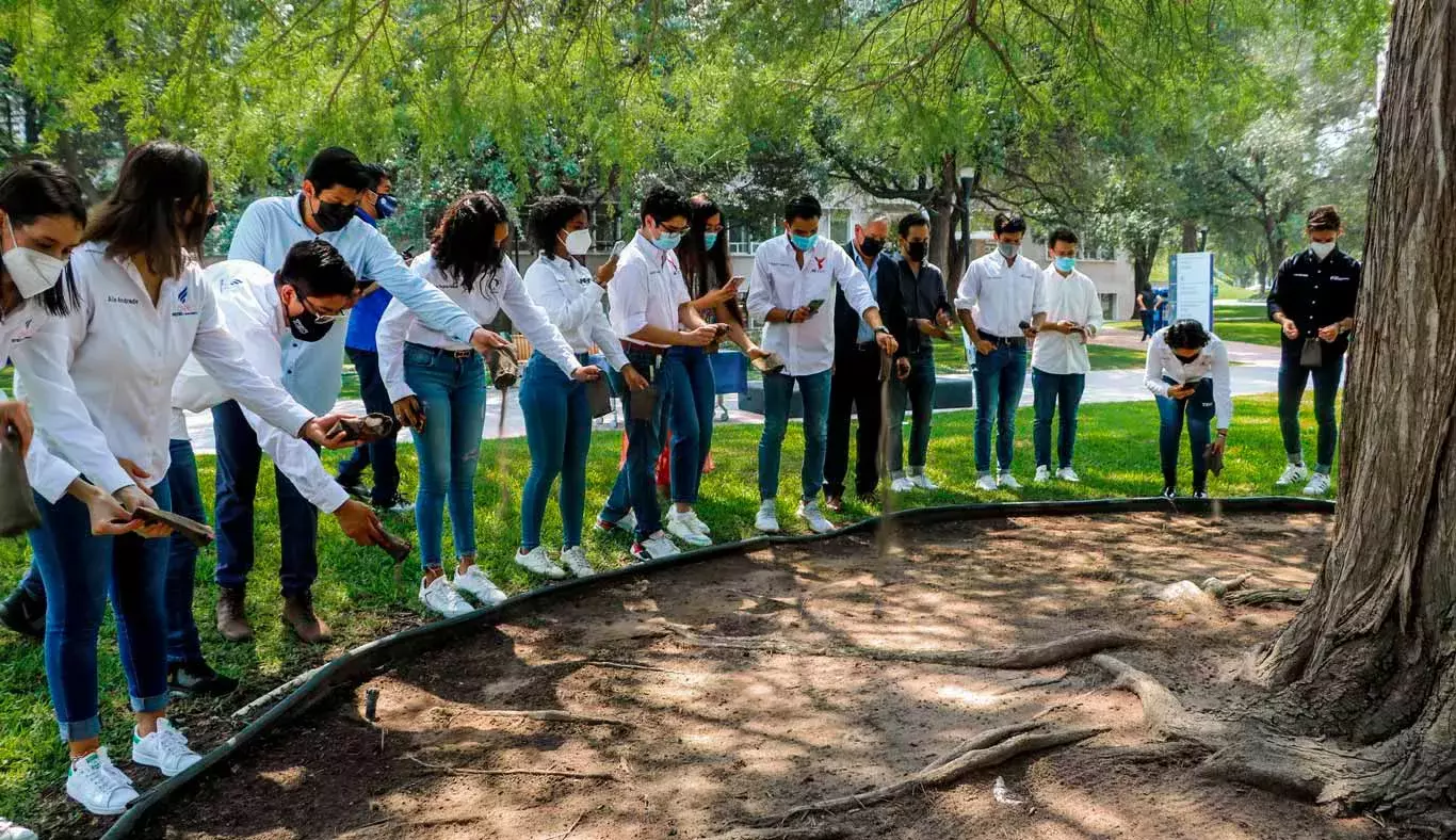 alumnos-esparciendo-tierra-en-árbol-de-la-fraternidad-campus-monterrey-2021