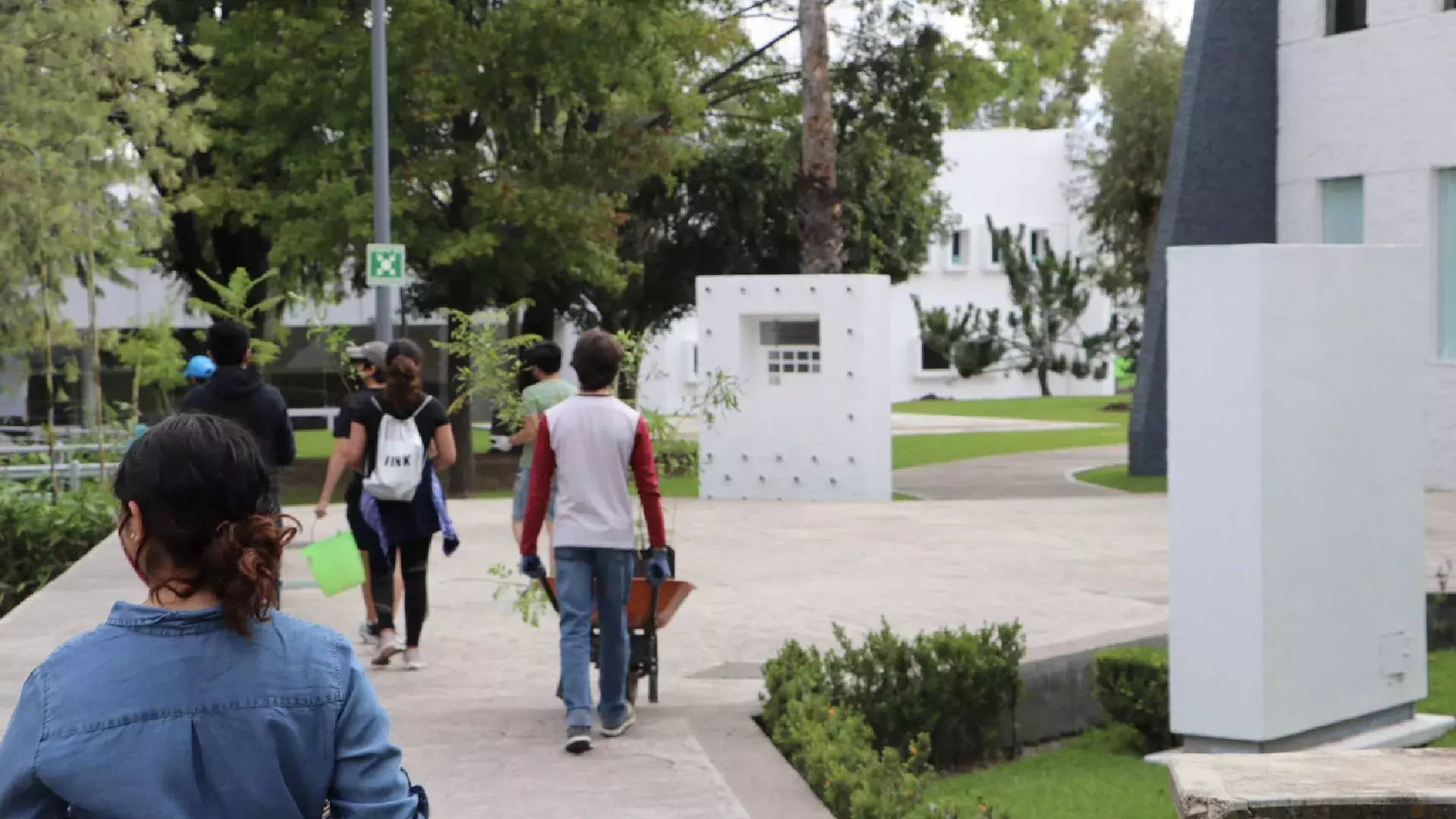 ¡Adelante! Caminando hasta las áreas donde van a plantar.